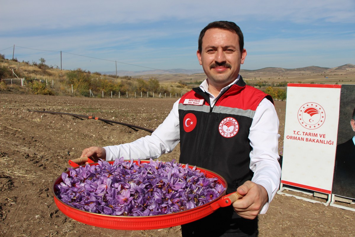 A W567993 05 1200X800