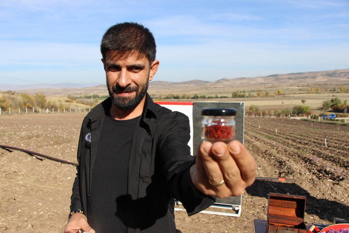 A W567993 06 1200X800