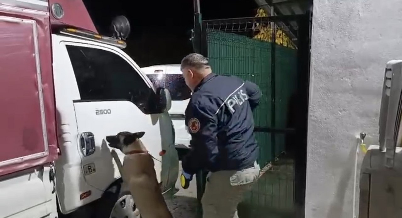 A W569489 03 1280X695