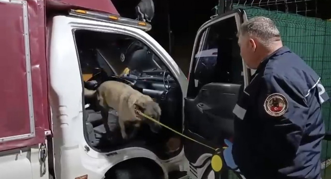 A W569489 04 1280X692