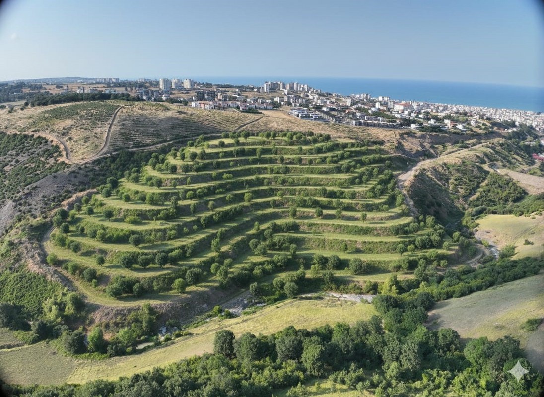 A W570150 06 1096X800