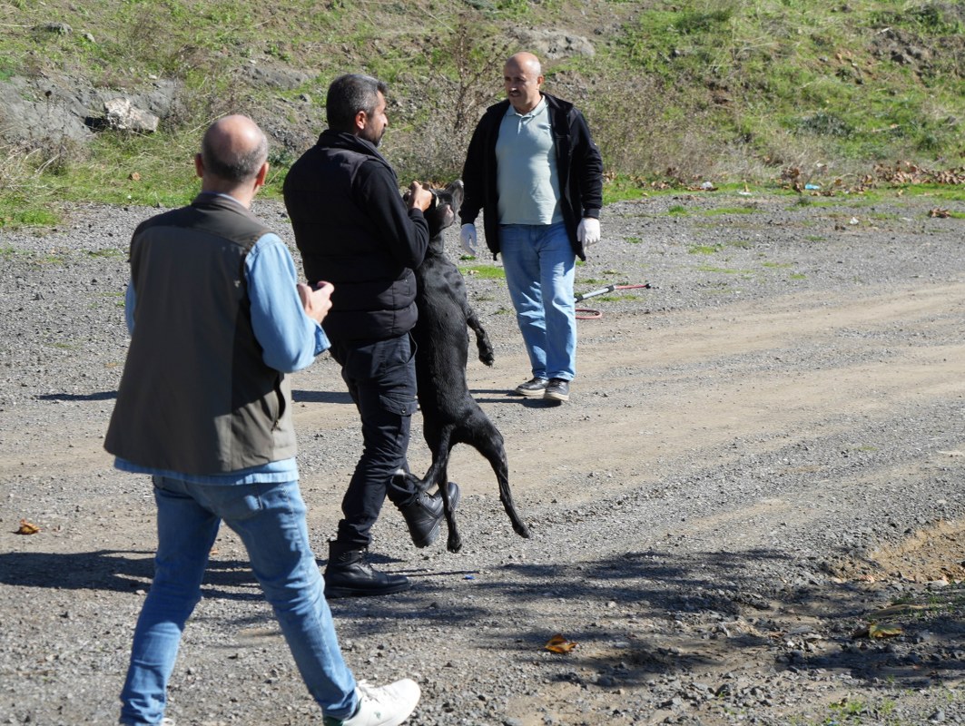 A W570283 10 1063X800