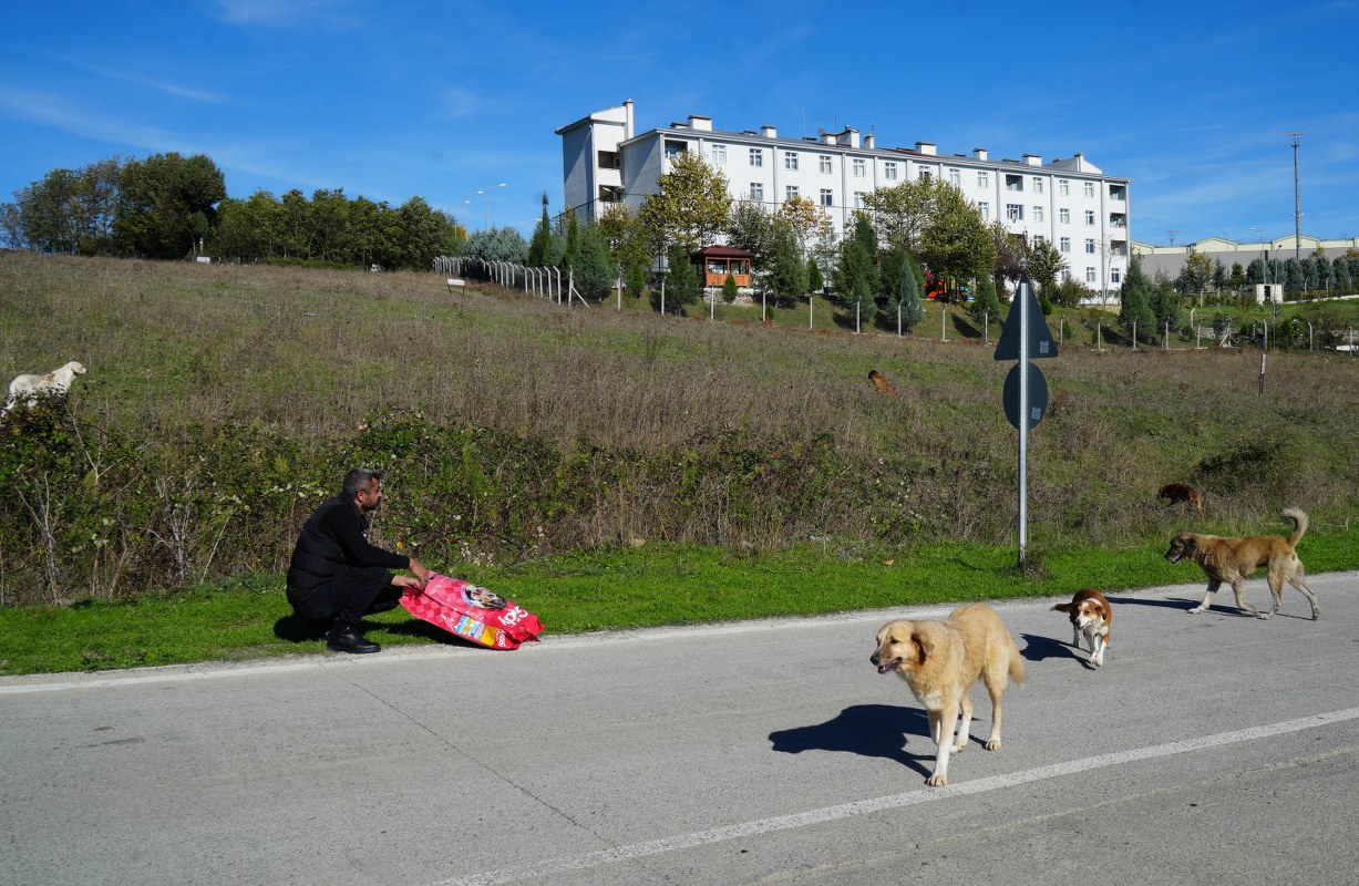 A W570283 11 1227X800