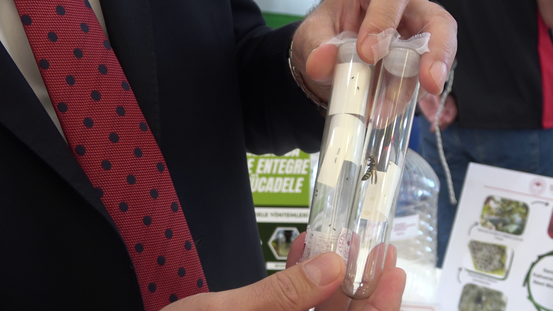 S A M U R A Y A R I S I E S E K A R I S I D E G I L K A H V E R E 992019 294349