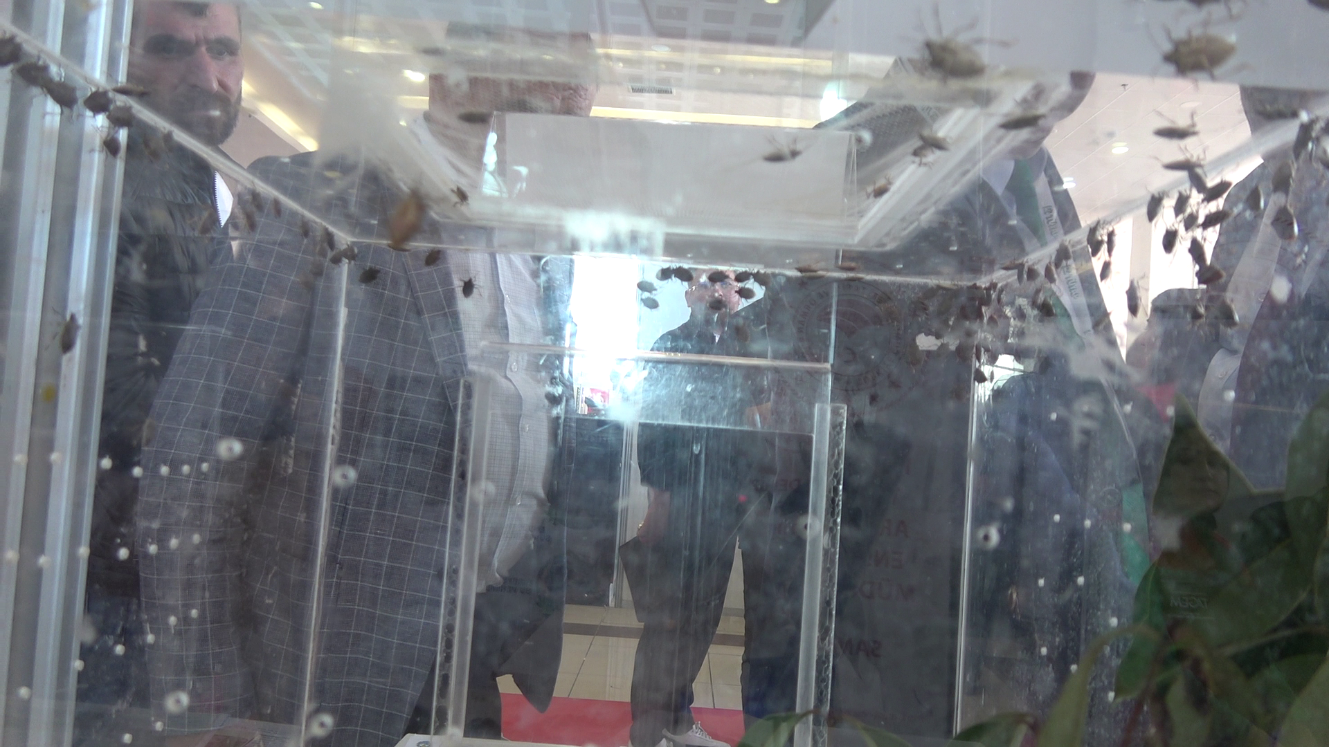 S A M U R A Y A R I S I E S E K A R I S I D E G I L K A H V E R E 992020 294349