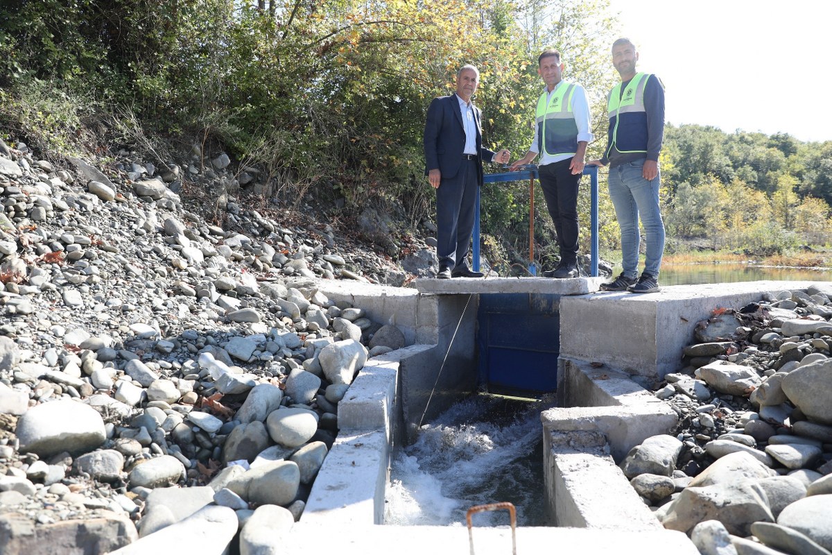 A W572387 03 1200X800