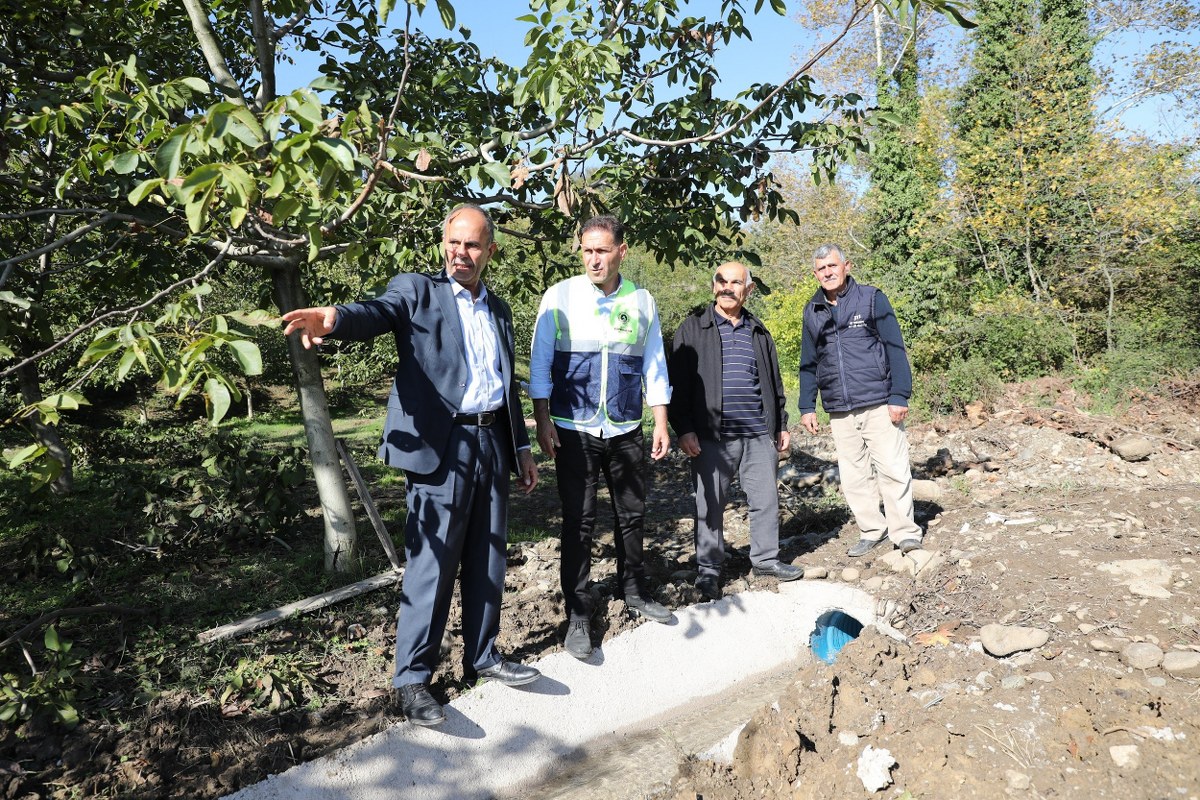 A W572387 05 1200X800