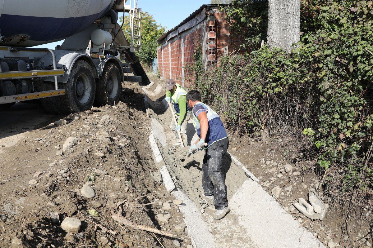 A W572387 06 1200X800