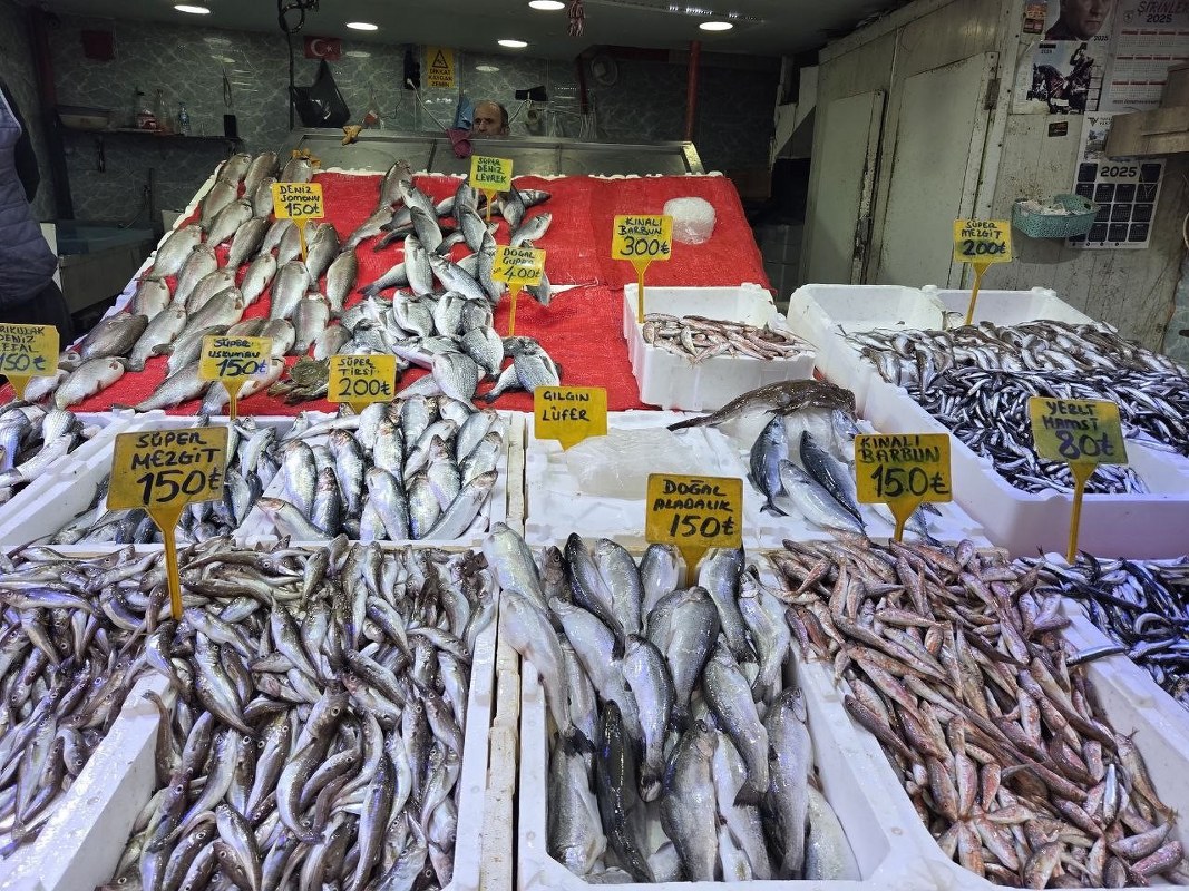 A W572790 03 1067X800