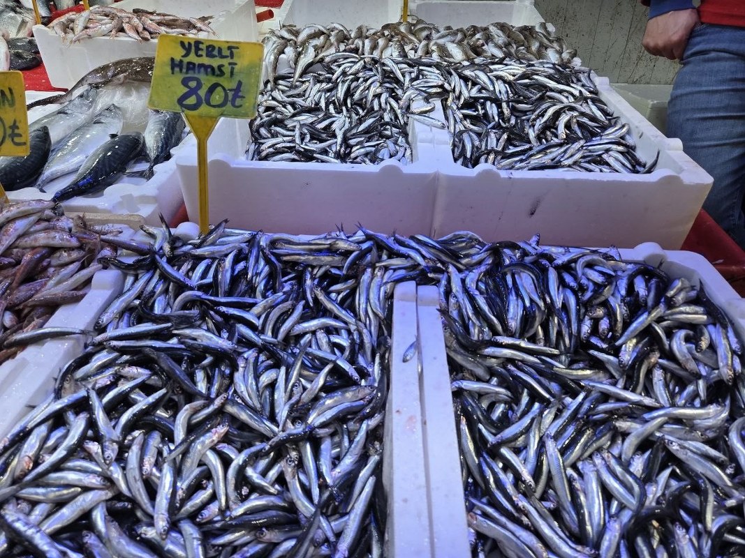 A W572790 04 1067X800