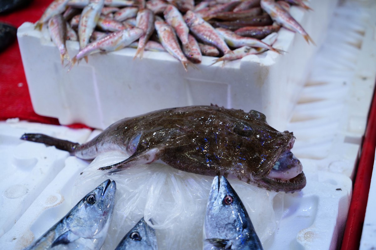 A W572790 05 1200X800