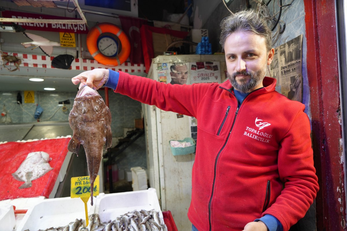 A W572790 06 1200X800