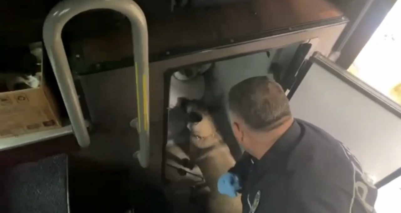 A W573398 03 1280X681