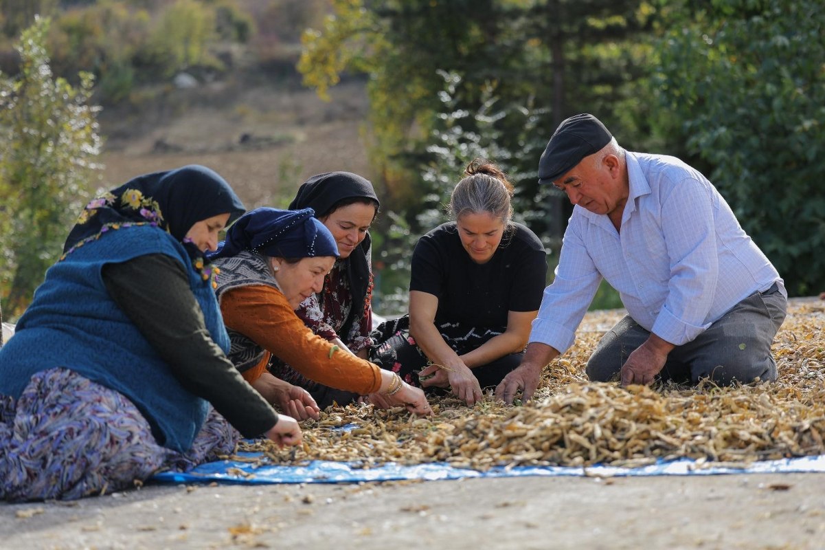 A W573543 04 1201X800