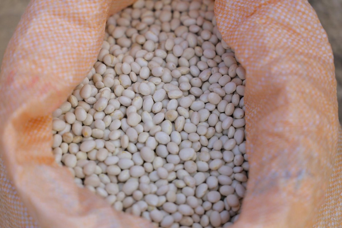 A W573543 05 1201X800