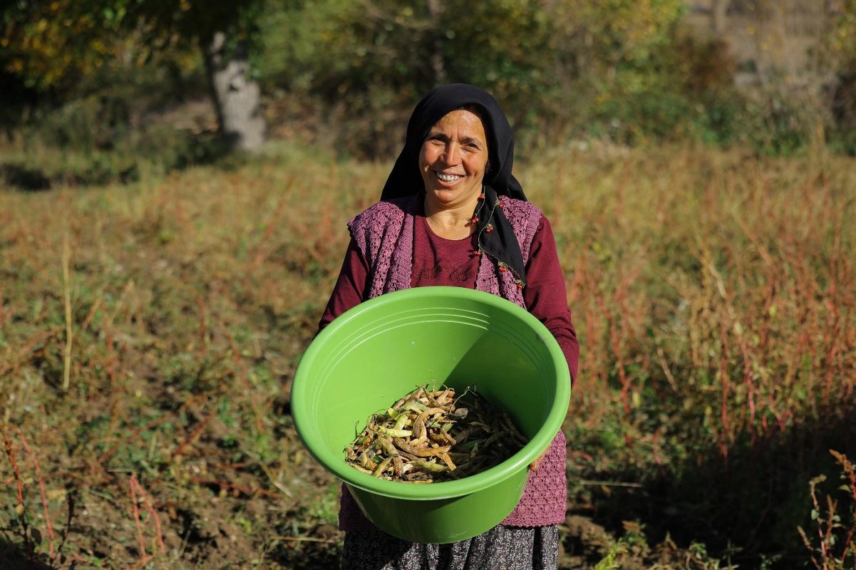 A W573543 06 1201X800