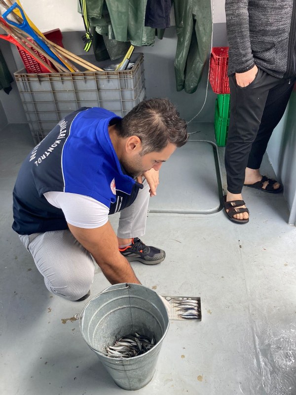 A W576767 03 600X800