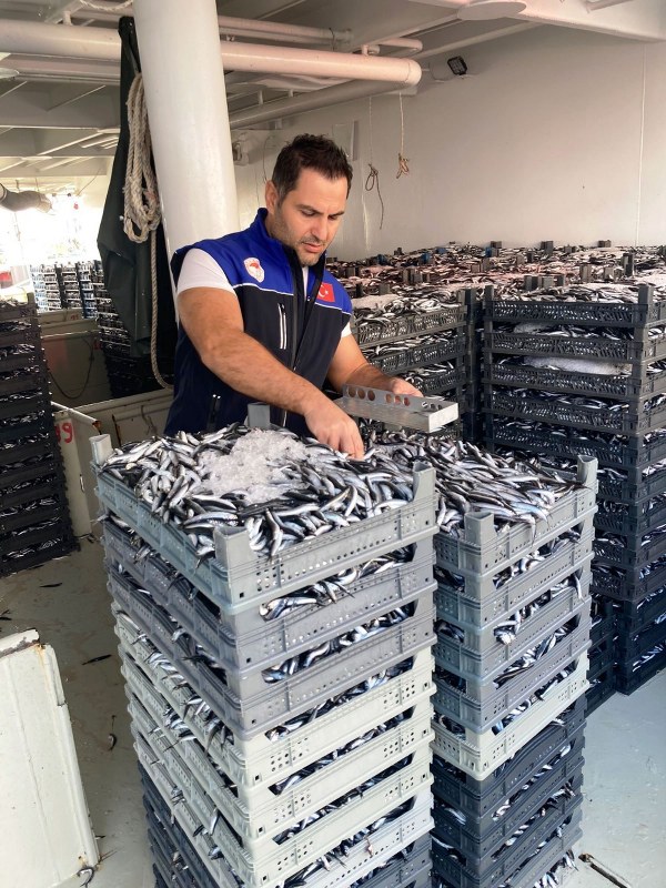 A W576767 05 600X800