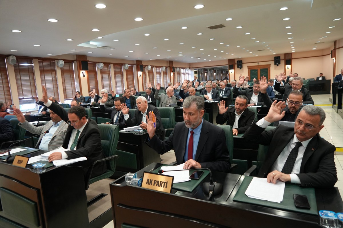 A W576795 01 1200X800