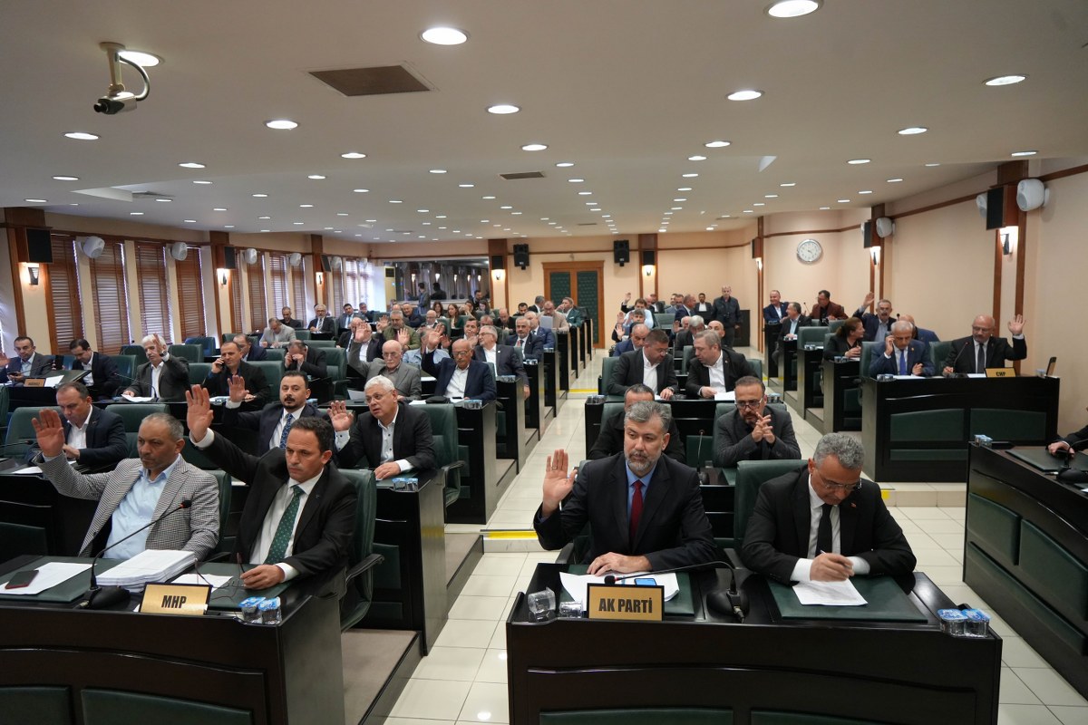 A W576795 04 1200X800