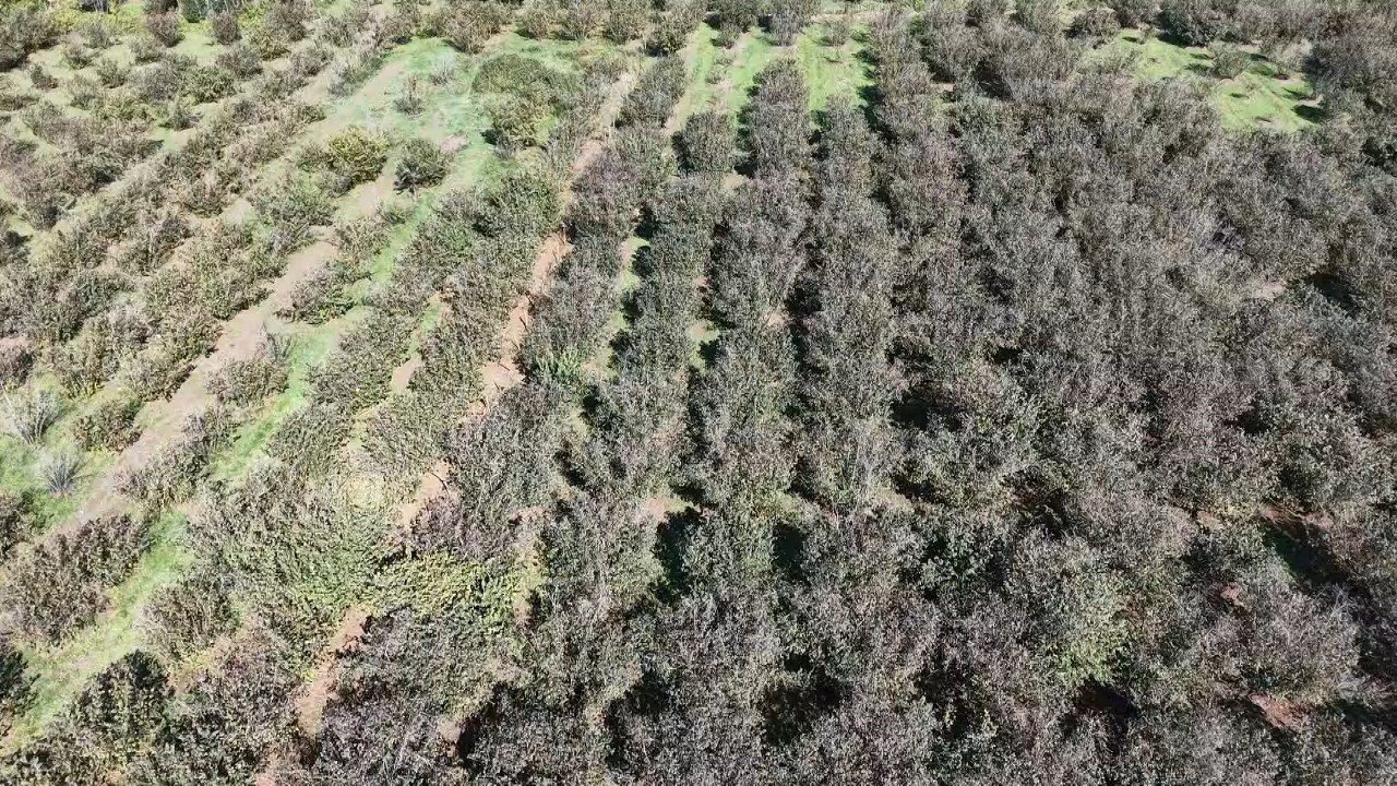 A W577045 02 1280X720