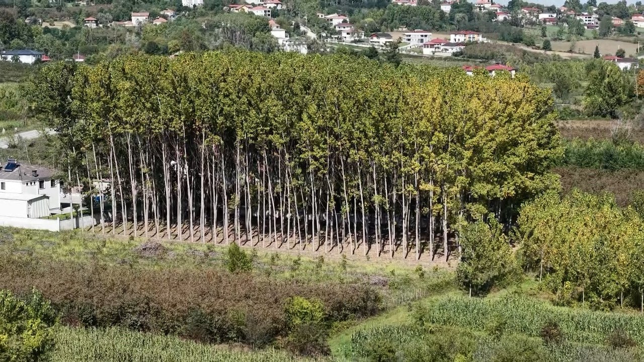 A W577045 03 1280X720