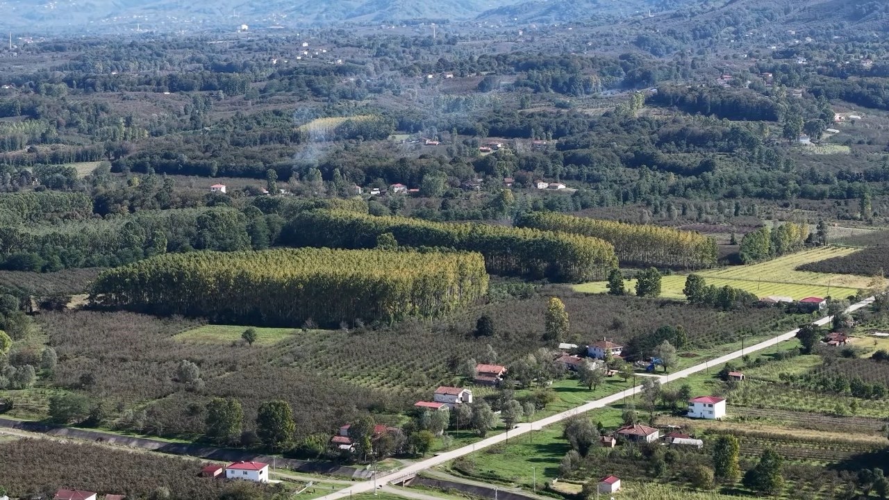 A W577045 04 1280X720