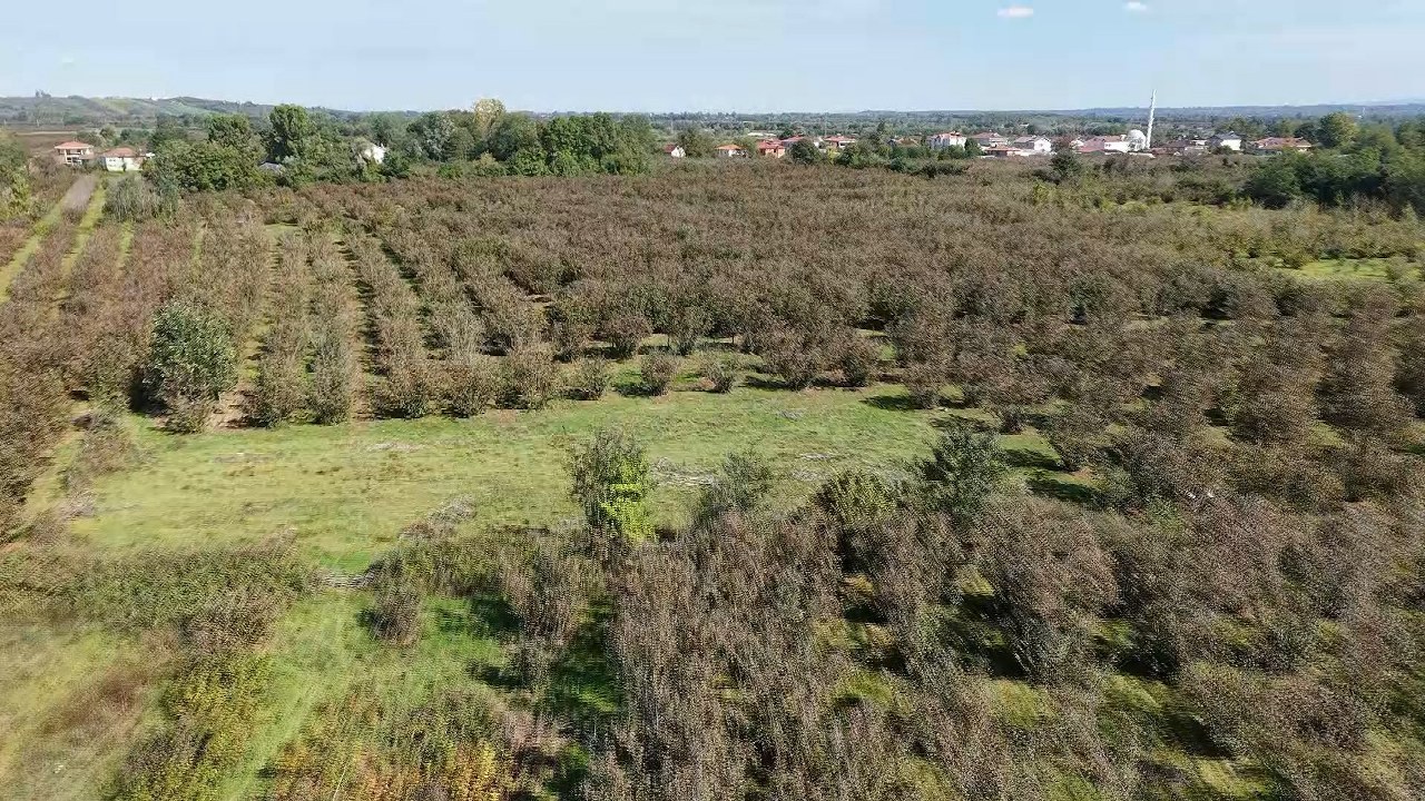 A W577045 05 1280X720