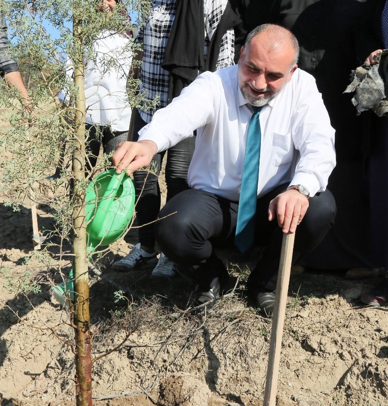 A W577249 02 765X800