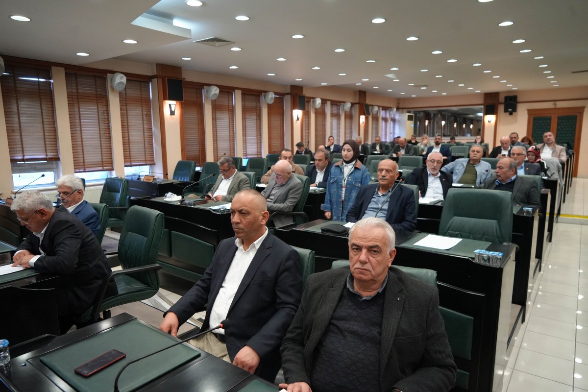 A W578248 02 1200X800