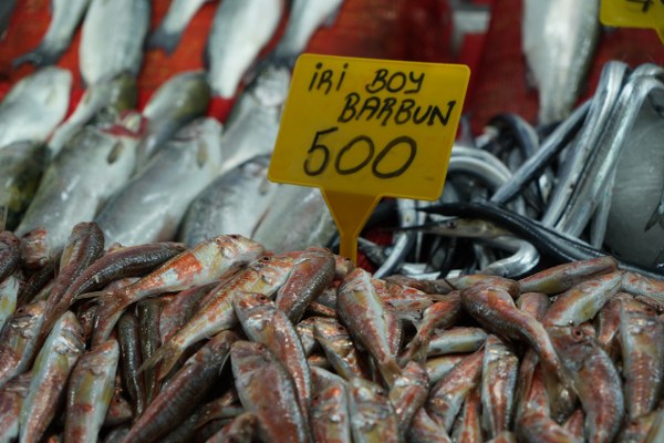 A W580937 02 600X400