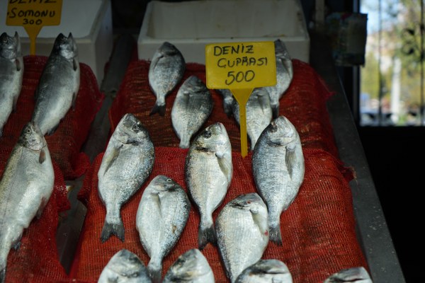 A W580937 04 600X400