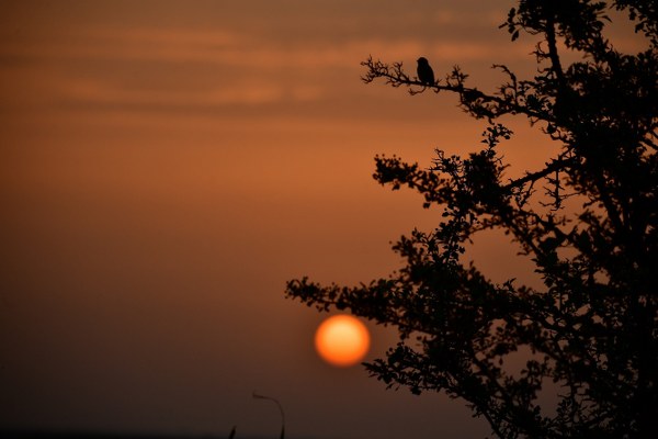 A W580982 01 600X400