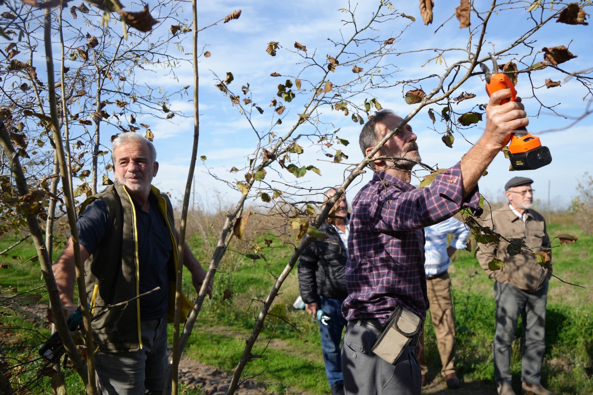 A W581793 03 1200X800