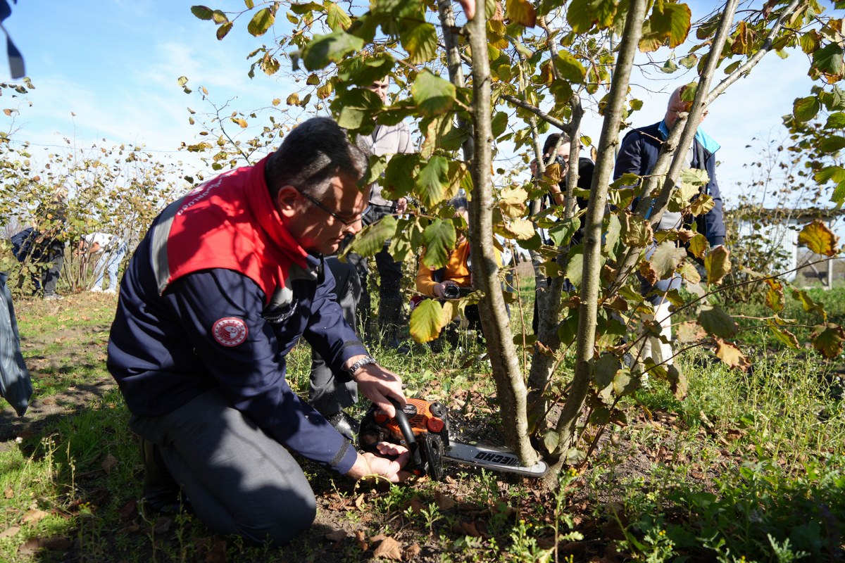 A W581793 07 1200X800