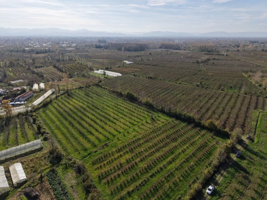 A W582132 03 533X400