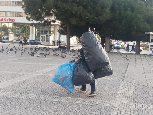 A W583081 01 533X400