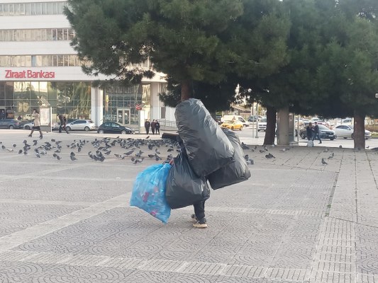 A W583081 02 533X400