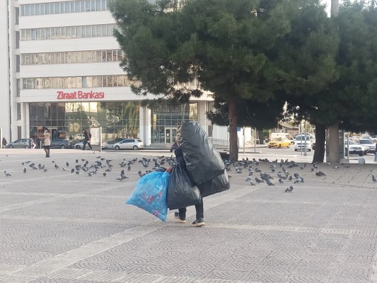 A W583081 03 533X400