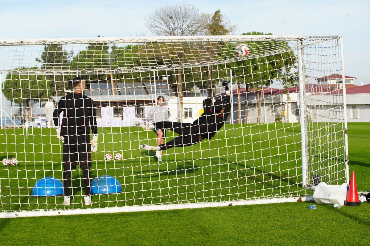 A W584149 04 1200X800