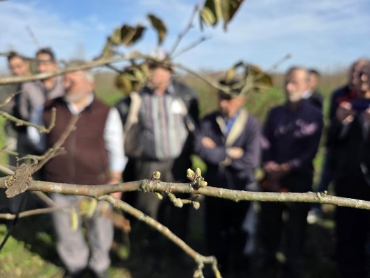 A W586270 04 533X400