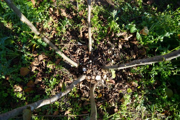 A W586270 06 600X400