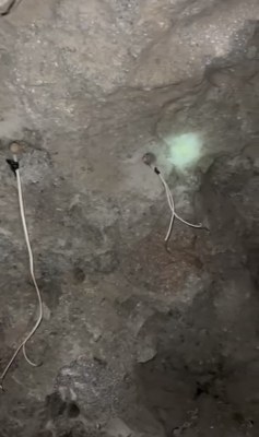 A W587359 03 237X400