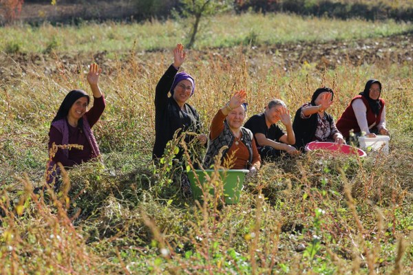 A W587424 04 600X400