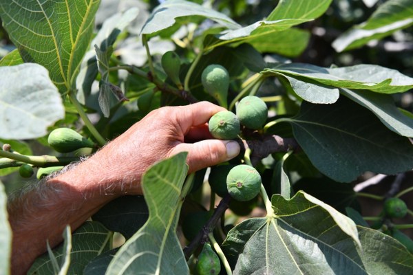 A W587424 05 600X400