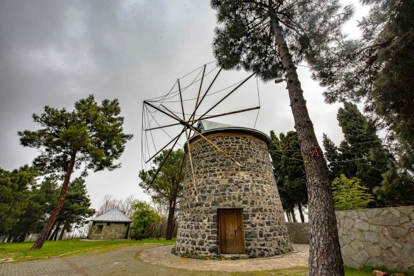 A W587939 06 600X400