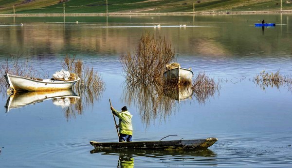 A W587939 07 600X347