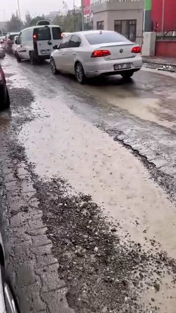 599162407 25300310656278124 2091917225933706800 N.00 00 00 24. Still001