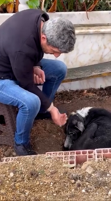 600883723 26078154121788048 5264712541070511369 N.00 00 30 23. Still003-1