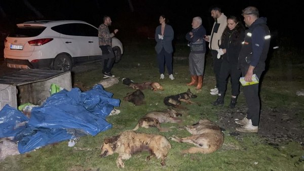 A W591153 05 600X338